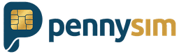 PennySim